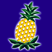 Ananas2xLekker's Avatar