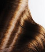 Hairfetishxxx's Avatar
