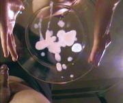 The Faceloader's Avatar